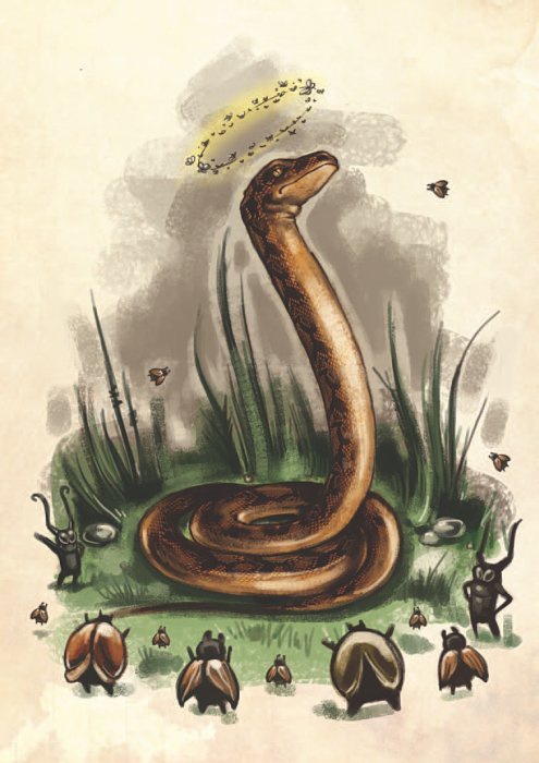 Иллюстрация к книге — Остров Дадо. Суеверная демократия [_img_22.jpg]