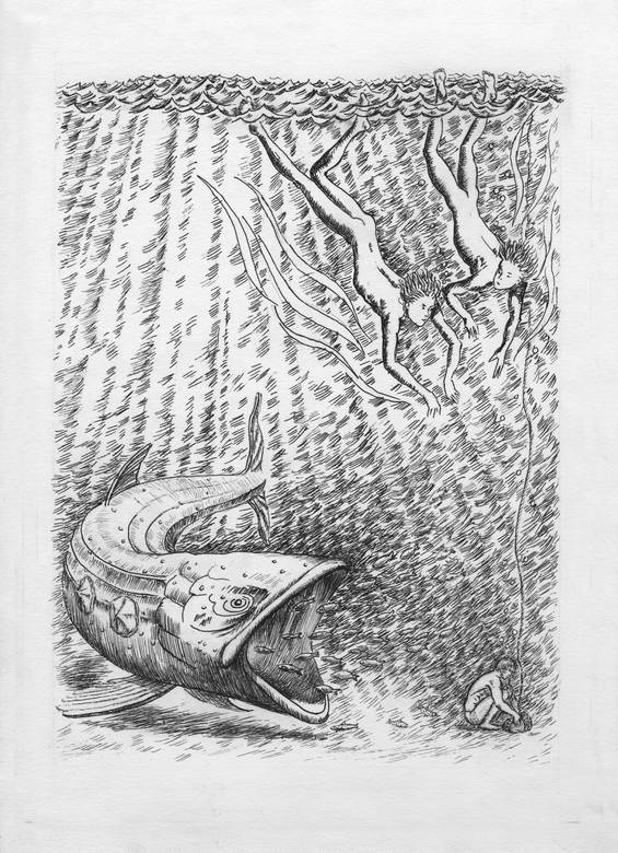 Иллюстрация к книге — Киты и люди [i_014.jpg]