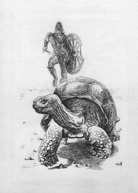 Иллюстрация к книге — Киты и люди [i_019.jpg]