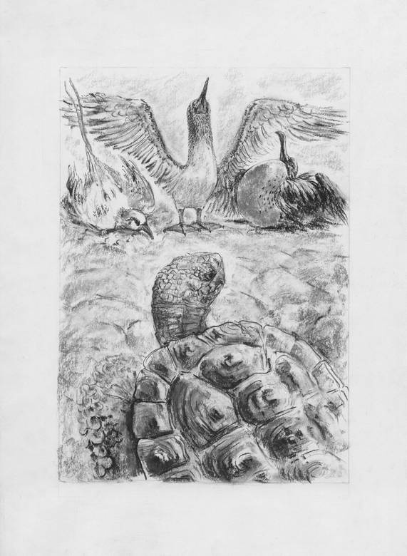 Иллюстрация к книге — Киты и люди [i_023.jpg]