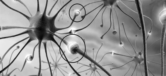 Иллюстрация к книге — 6 способов познать себя. Просветление для всех [_1.jpg]