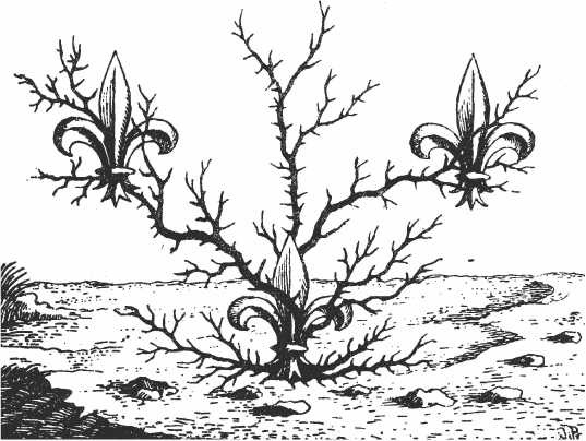 Иллюстрация к книге — Иллюстрированная история суеверий и волшебства [i_064.jpg]