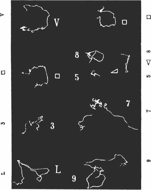 Иллюстрация к книге — Иллюстрированная история суеверий и волшебства [i_088.jpg]