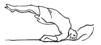 Иллюстрация к книге — Иллюстрированная история суеверий и волшебства [i_118.jpg]