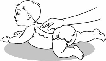 Иллюстрация к книге — Массаж и гимнастика для самых маленьких от рождения до года [i_006.jpg]