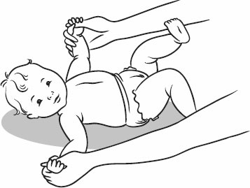 Иллюстрация к книге — Массаж и гимнастика для самых маленьких от рождения до года [i_017.jpg]