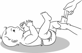 Иллюстрация к книге — Массаж и гимнастика для самых маленьких от рождения до года [i_029.jpg]