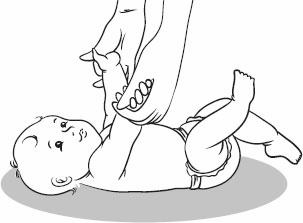 Иллюстрация к книге — Массаж и гимнастика для самых маленьких от рождения до года [i_031.jpg]