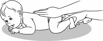 Иллюстрация к книге — Массаж и гимнастика для самых маленьких от рождения до года [i_048.jpg]