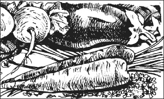 Иллюстрация к книге — Диетическое питание при болезнях желудочно-кишечного тракта [i_002.jpg]