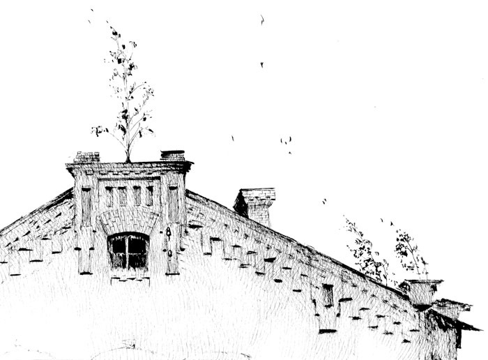 Иллюстрация к книге — Сказки старого Вильнюса IV [i_005.jpg]