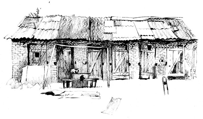 Иллюстрация к книге — Сказки старого Вильнюса IV [i_014.jpg]