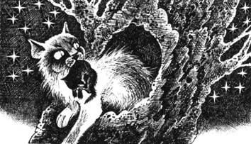 Иллюстрация к книге — Тайна Щербатой. Наказание. Книга 2 [pic_16.jpg]