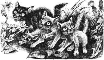 Иллюстрация к книге — Тайна Щербатой. Наказание. Книга 2 [pic_18.jpg]