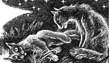 Иллюстрация к книге — Тайна Щербатой. Наказание. Книга 2 [pic_22.jpg]