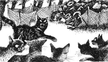 Иллюстрация к книге — Тайна Щербатой. Наказание. Книга 2 [pic_28.jpg]