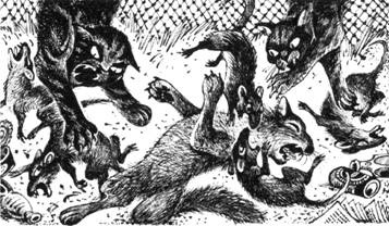 Иллюстрация к книге — Тайна Щербатой. Наказание. Книга 2 [pic_30.jpg]