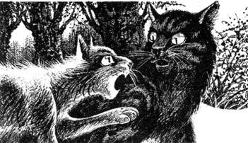 Иллюстрация к книге — Тайна Щербатой. Наказание. Книга 2 [pic_36.jpg]