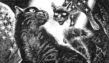 Иллюстрация к книге — Тайна Щербатой. Наказание. Книга 2 [pic_38.jpg]