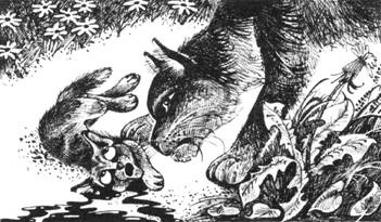 Иллюстрация к книге — Тайна Щербатой. Наказание. Книга 2 [pic_42.jpg]