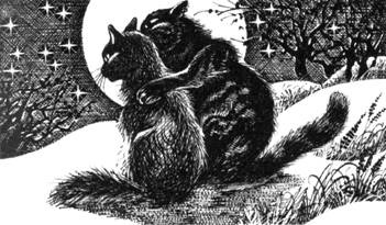 Иллюстрация к книге — Тайна Щербатой. Наказание. Книга 2 [pic_8.jpg]