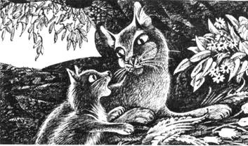 Иллюстрация к книге — Тайна Щербатой. Книга 1. Предназначение [pic_10.jpg]