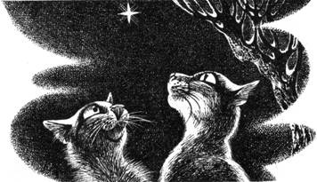 Иллюстрация к книге — Тайна Щербатой. Книга 1. Предназначение [pic_14.jpg]