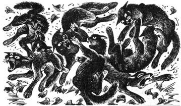 Иллюстрация к книге — Тайна Щербатой. Книга 1. Предназначение [pic_16.jpg]