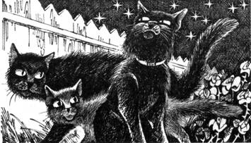 Иллюстрация к книге — Тайна Щербатой. Книга 1. Предназначение [pic_18.jpg]