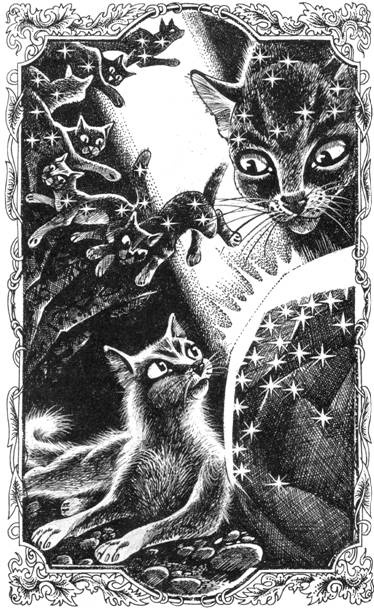 Иллюстрация к книге — Тайна Щербатой. Книга 1. Предназначение [pic_2.jpg]