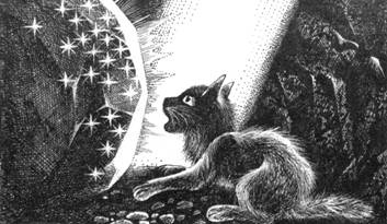 Иллюстрация к книге — Тайна Щербатой. Книга 1. Предназначение [pic_20.jpg]