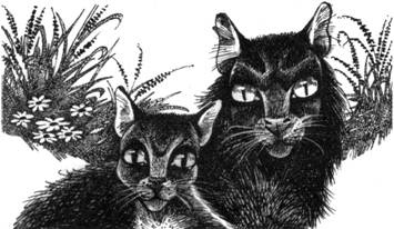 Иллюстрация к книге — Тайна Щербатой. Книга 1. Предназначение [pic_24.jpg]