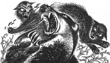 Иллюстрация к книге — Тайна Щербатой. Книга 1. Предназначение [pic_26.jpg]