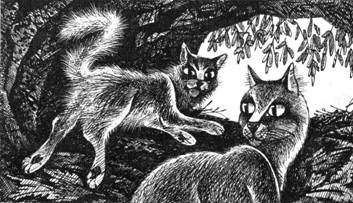 Иллюстрация к книге — Тайна Щербатой. Книга 1. Предназначение [pic_28.jpg]