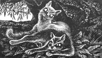 Иллюстрация к книге — Тайна Щербатой. Книга 1. Предназначение [pic_38.jpg]