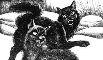 Иллюстрация к книге — Тайна Щербатой. Книга 1. Предназначение [pic_40.jpg]