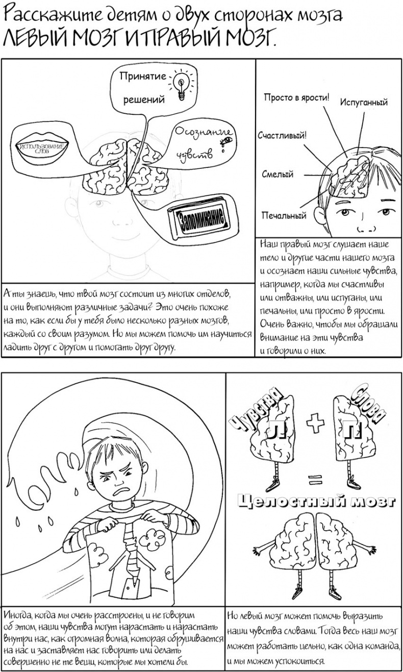Иллюстрация к книге — Воспитание с умом. 12 революционных стратегий всестороннего развития мозга вашего ребенка [_068.jpg]