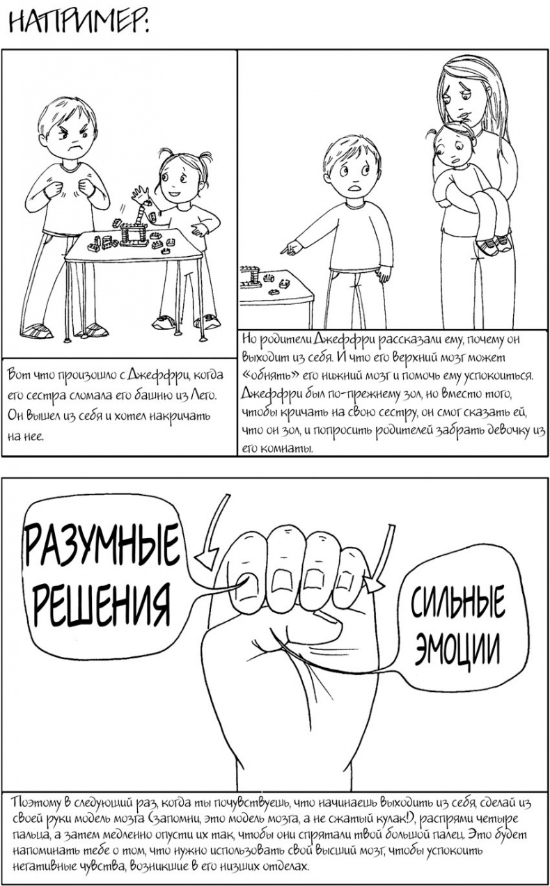 Иллюстрация к книге — Воспитание с умом. 12 революционных стратегий всестороннего развития мозга вашего ребенка [_107.jpg]