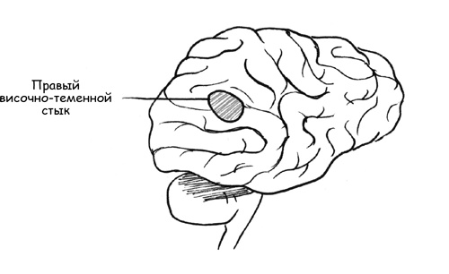 Иллюстрация к книге — Дисциплина без драм. Как помочь ребенку воспитать характер [i_019.jpg]