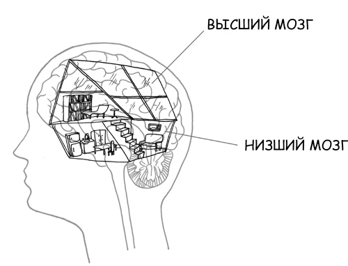 Иллюстрация к книге — Дисциплина без драм. Как помочь ребенку воспитать характер [i_022.jpg]
