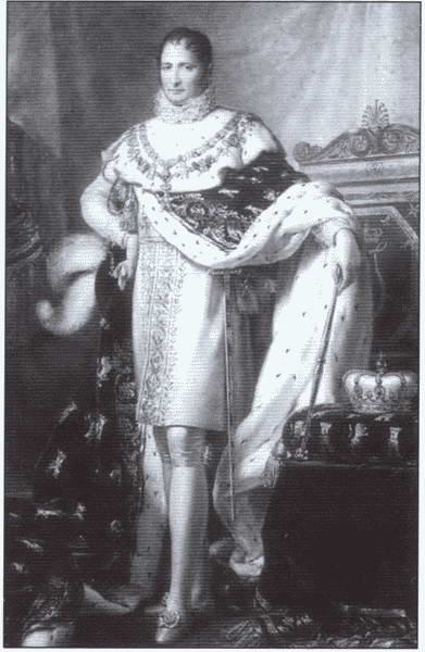 Иллюстрация к книге — Наполеон. Страсти по императору [i_016.jpg]