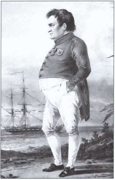 Иллюстрация к книге — Наполеон. Страсти по императору [i_026.jpg]