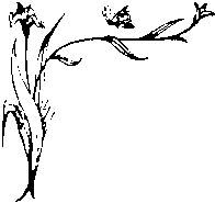 Иллюстрация к книге — Влюбленная Пион [_17.jpg]