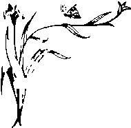 Иллюстрация к книге — Влюбленная Пион [_2.jpg]