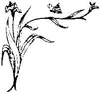 Иллюстрация к книге — Влюбленная Пион [_21.jpg]