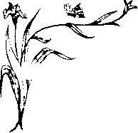 Иллюстрация к книге — Влюбленная Пион [_22.jpg]