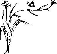 Иллюстрация к книге — Влюбленная Пион [_23.jpg]