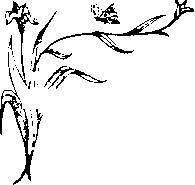 Иллюстрация к книге — Влюбленная Пион [_9.jpg]