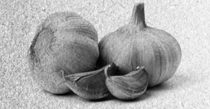 Иллюстрация к книге — Советское домоводство [i_002.jpg]