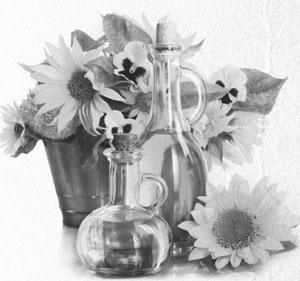 Иллюстрация к книге — Советское домоводство [i_013.jpg]